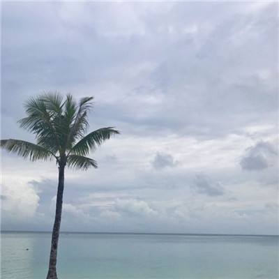 仙灵物语小七版下载