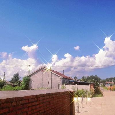 宝宝当医生下载