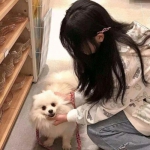 中超风云360版下载
